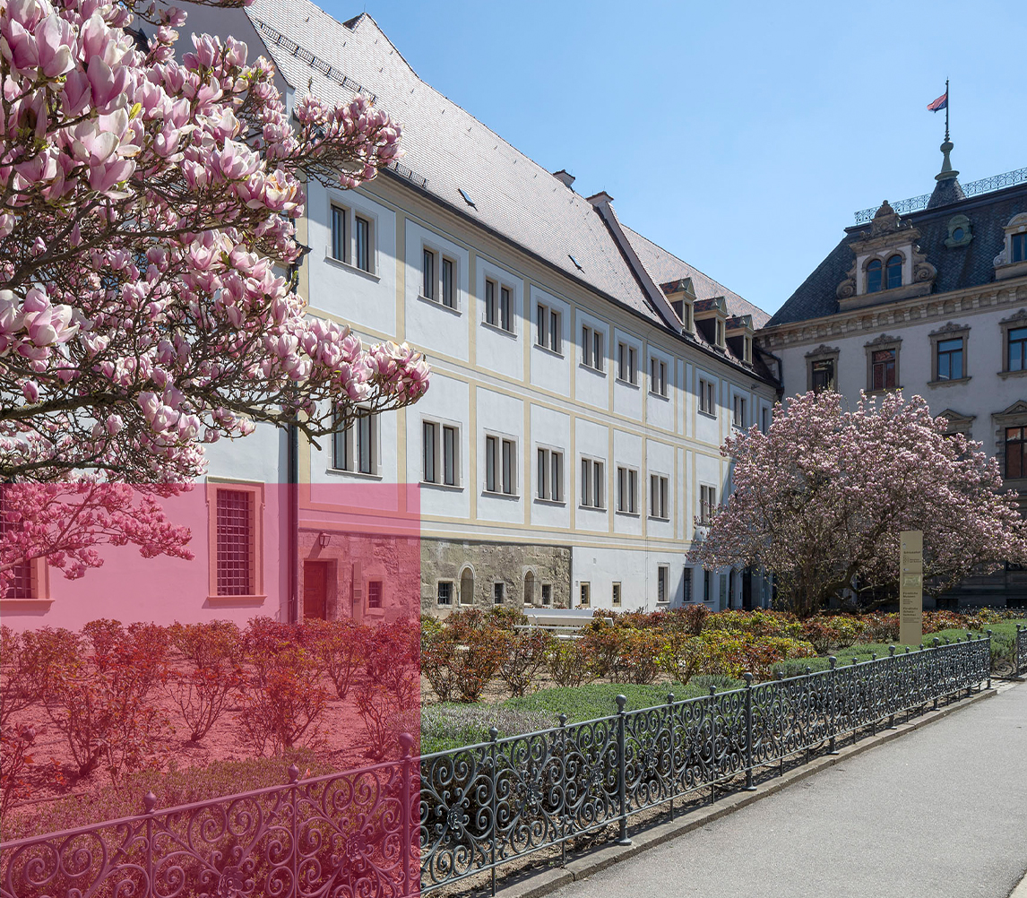 Medizinrecht Regensburg